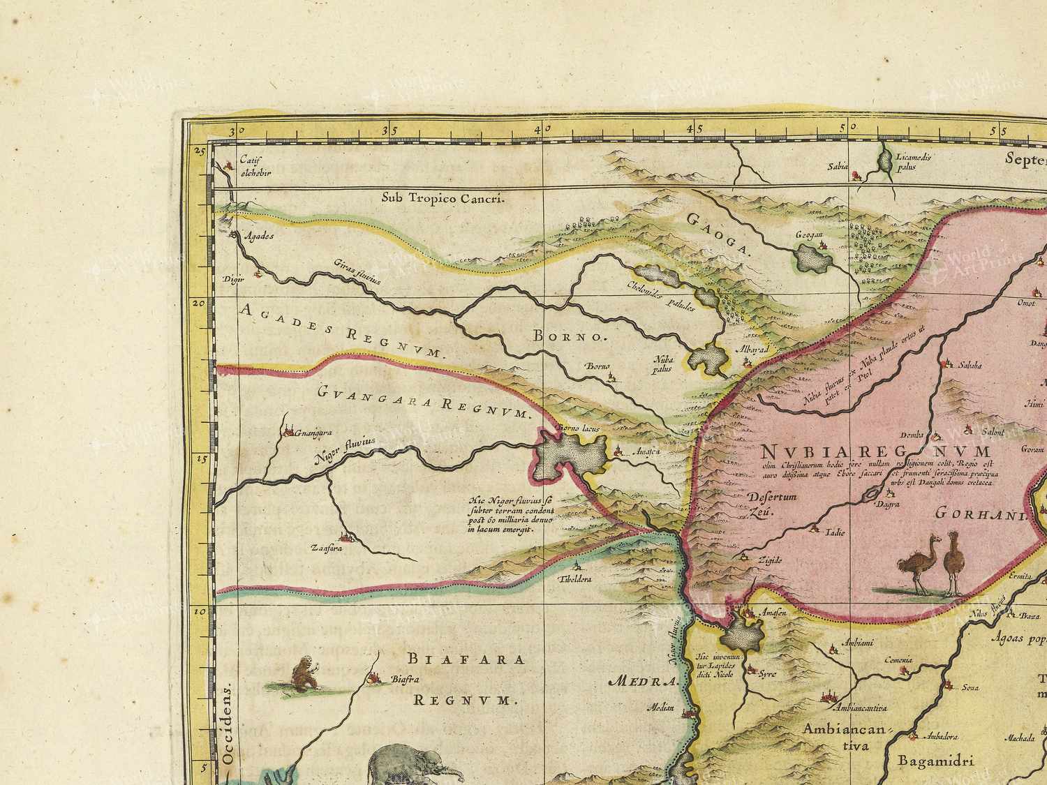 Map top left quadrant