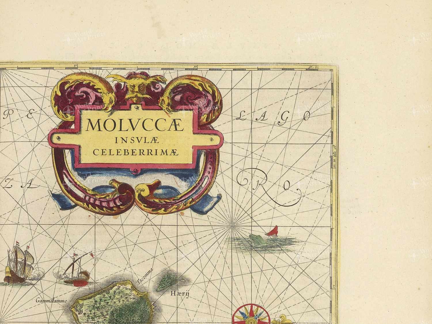 Map top right quadrant