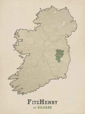 FitzHenry of Kildare