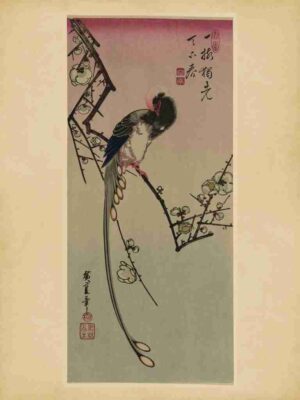 Blossom, Print, Vintage Red, Japanese, Bird, Plum Blossoms, Woodblock, Traditional, Flower, Cherry, Koi, Cranes, Art, Japan, Flowers, Geisha, Ume, Edo, Plum, Birds Asian, Floral, Tori, Illustration"