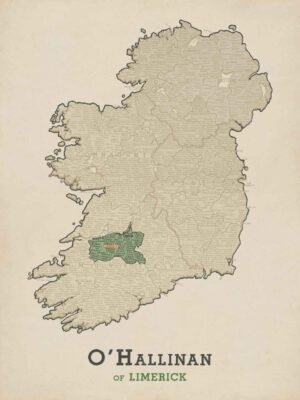 O'Hallinan of Limerick